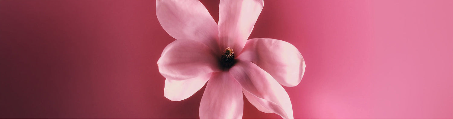 Vivid Bloom