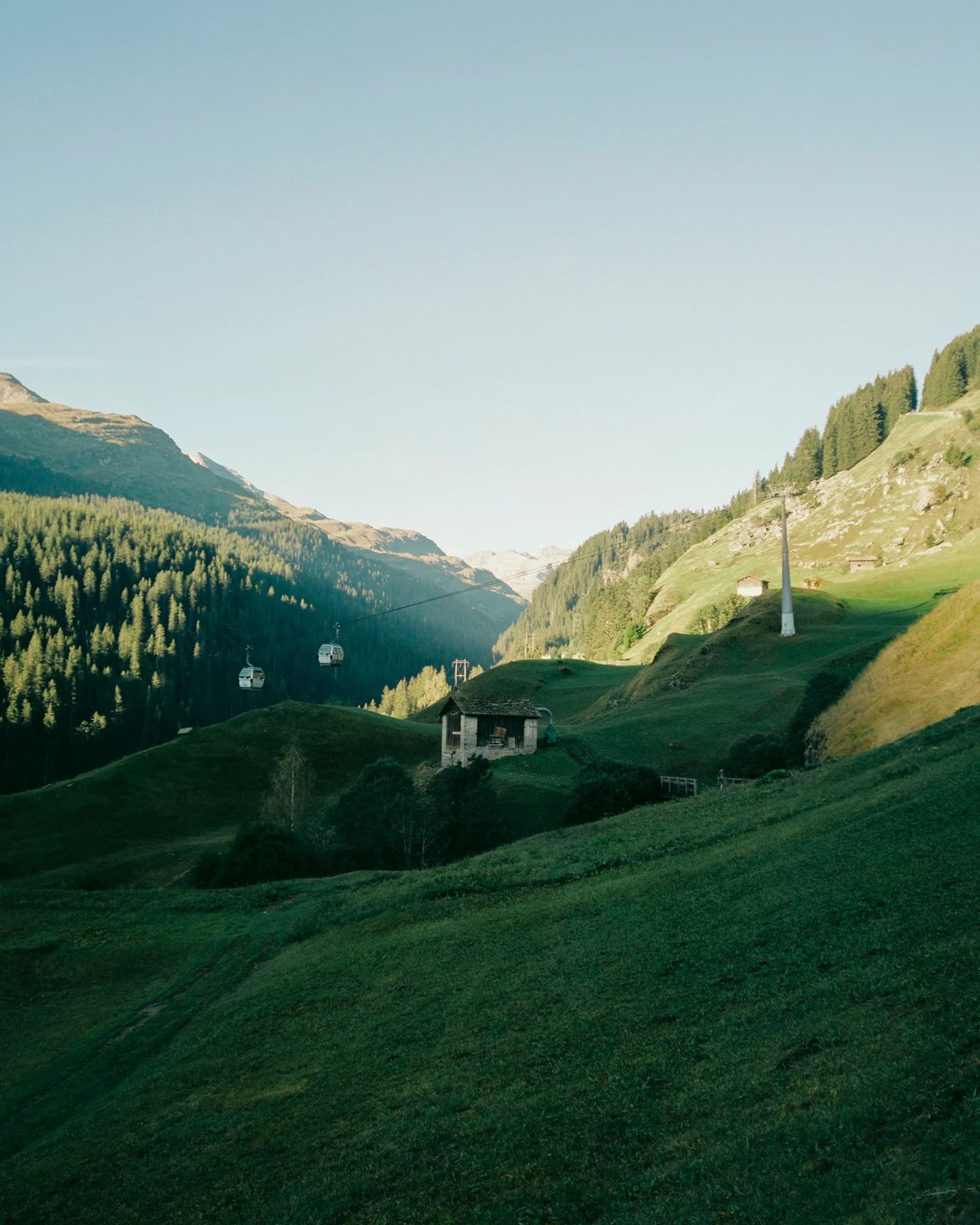 Vallée montagneuse verdoyante avec forêt, ferme et télécabine dans la lumière du soir