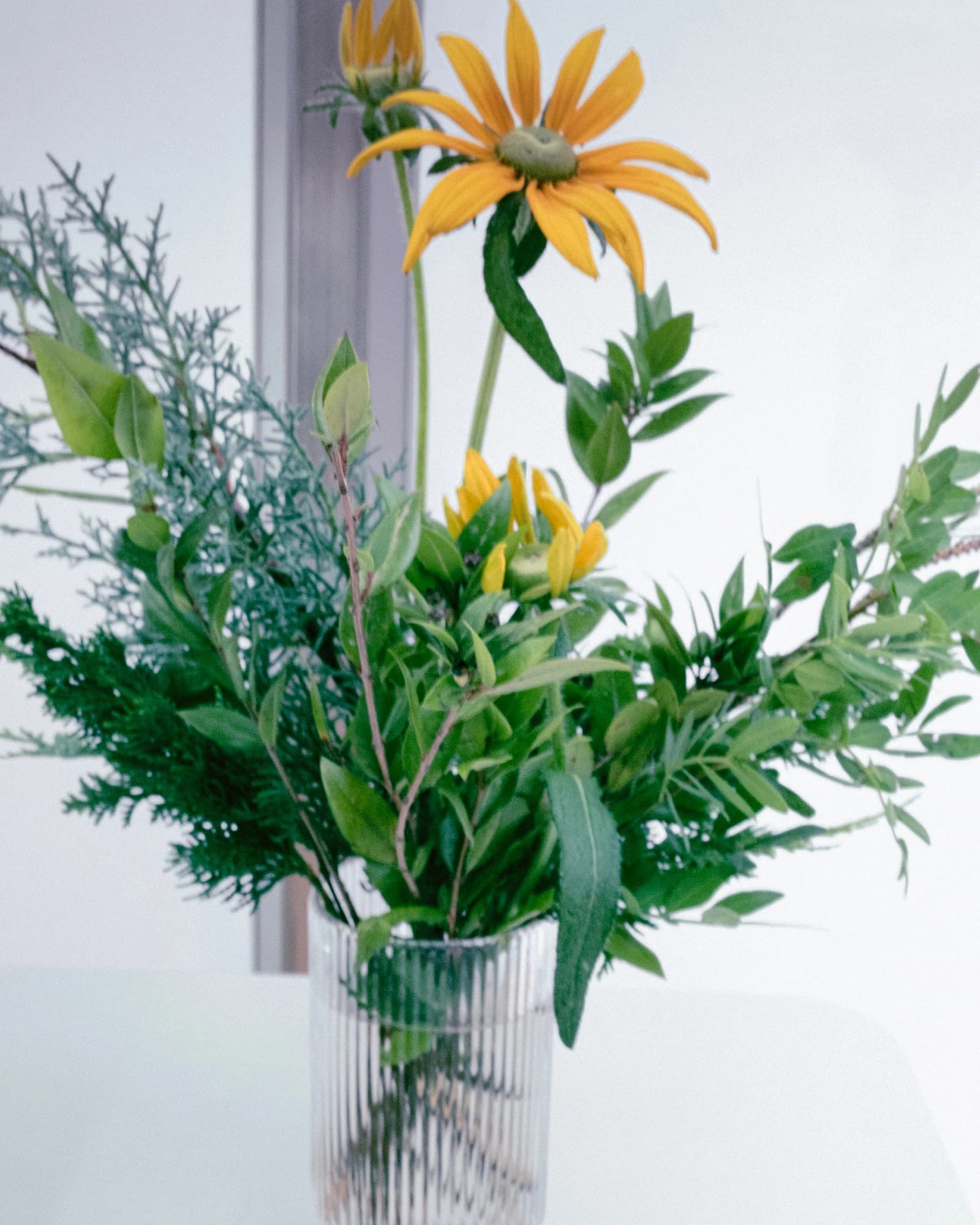 A bouquet of yellow coneflowers and green twigs in a ribbed glass vase