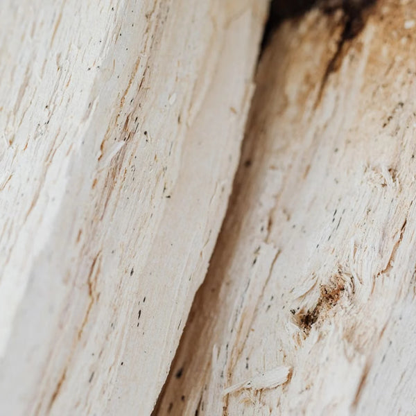 Gros plan sur du bois de cèdre clair fendu – note de fond « bois de cèdre » de Serene Wood