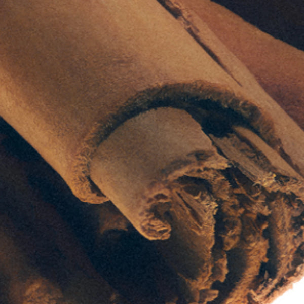 Close-up of cinnamon sticks – "Heart Note: Cinnamon" by Seasons Greetings